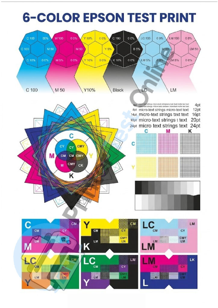 6-Color Epson Test Print